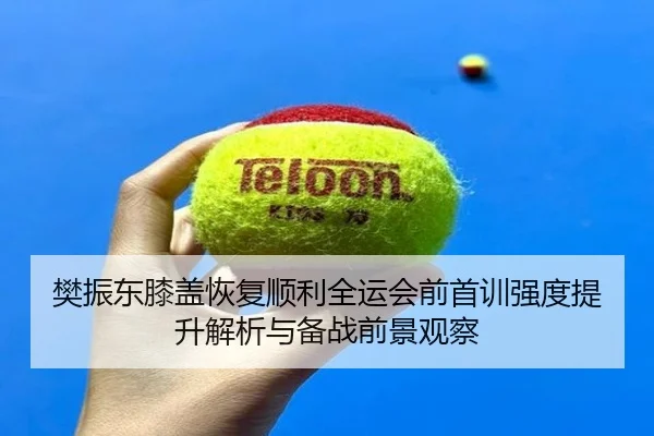 樊振东膝盖恢复顺利全运会前首训强度提升解析与备战前景观察
